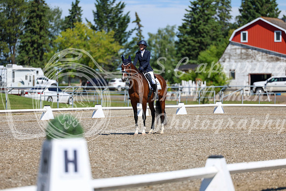 08303 - 2026 Dressage Festival - Sunday July 5th