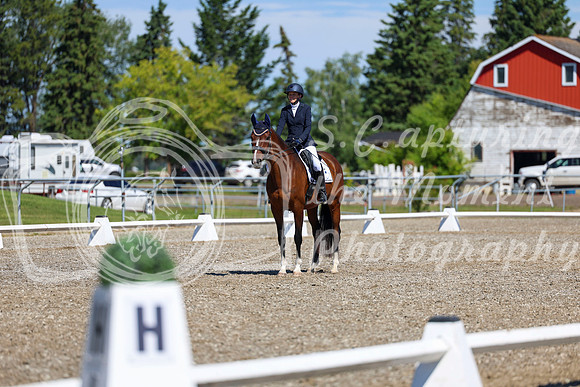 08306 - 2026 Dressage Festival - Sunday July 5th