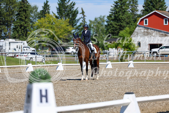 08307 - 2026 Dressage Festival - Sunday July 5th
