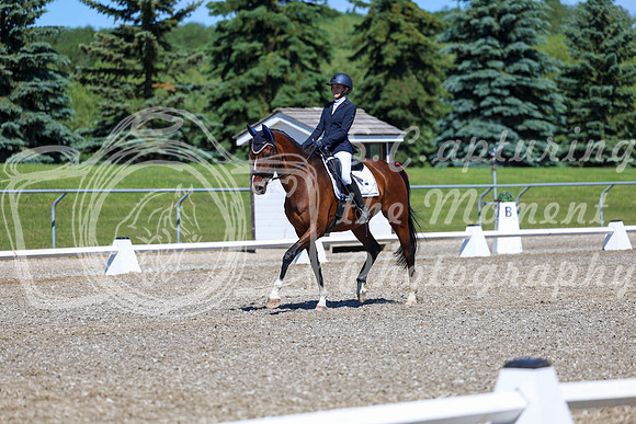 08308 - 2026 Dressage Festival - Sunday July 5th
