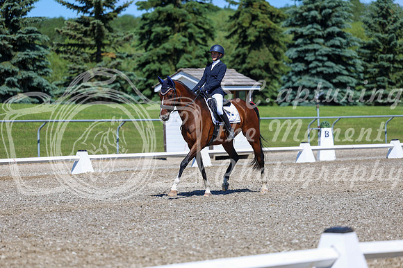 08309 - 2026 Dressage Festival - Sunday July 5th