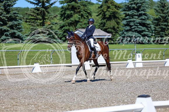 08310 - 2026 Dressage Festival - Sunday July 5th