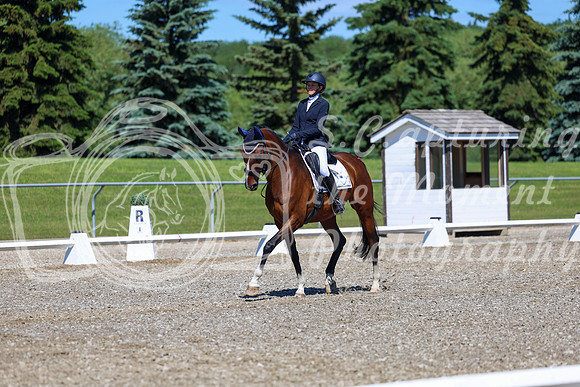 08312 - 2026 Dressage Festival - Sunday July 5th