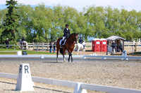 09217 - 2026 Dressage Festival - Sunday July 5th