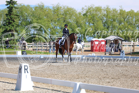 09217 - 2026 Dressage Festival - Sunday July 5th