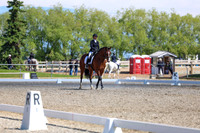 09218 - 2026 Dressage Festival - Sunday July 5th