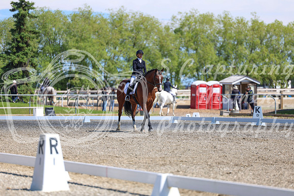 09218 - 2026 Dressage Festival - Sunday July 5th