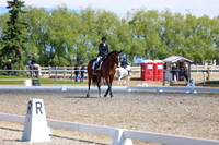 09219 - 2026 Dressage Festival - Sunday July 5th
