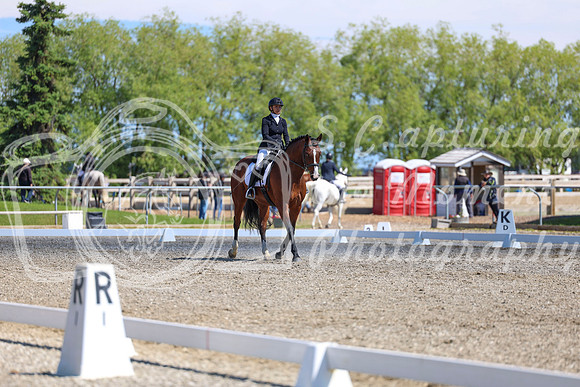 09219 - 2026 Dressage Festival - Sunday July 5th