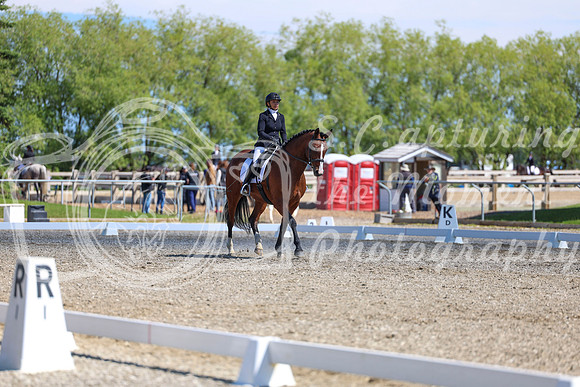 09222 - 2026 Dressage Festival - Sunday July 5th
