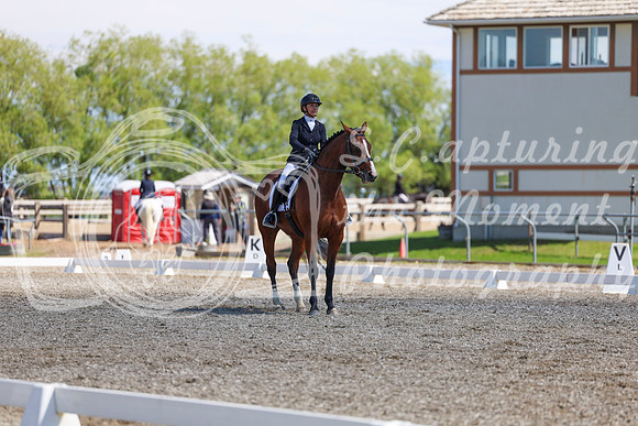 09231 - 2026 Dressage Festival - Sunday July 5th
