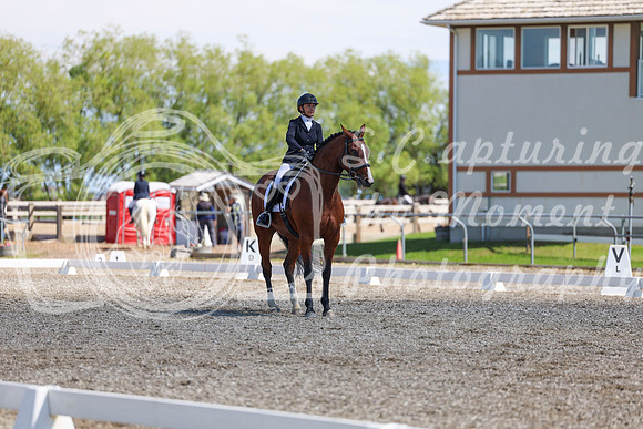 09235 - 2026 Dressage Festival - Sunday July 5th