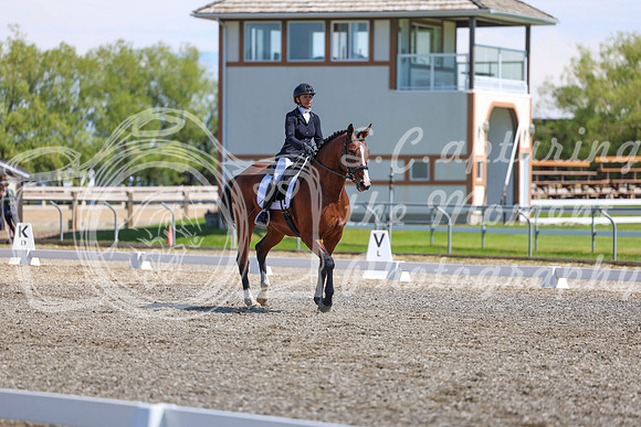 09236 - 2026 Dressage Festival - Sunday July 5th