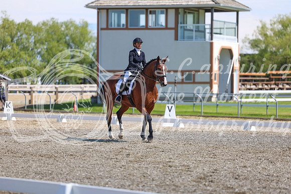 09237 - 2026 Dressage Festival - Sunday July 5th