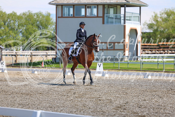 09239 - 2026 Dressage Festival - Sunday July 5th