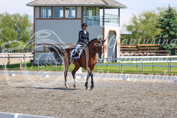 09240 - 2026 Dressage Festival - Sunday July 5th