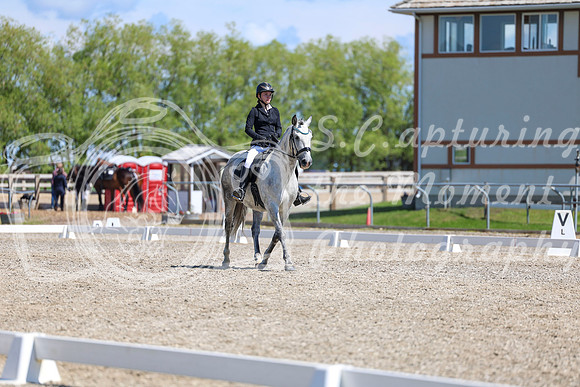 11176 - 2026 Dressage Festival - Sunday July 5th