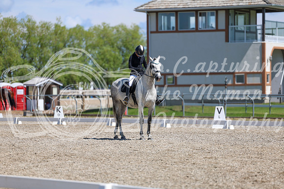 11177 - 2026 Dressage Festival - Sunday July 5th