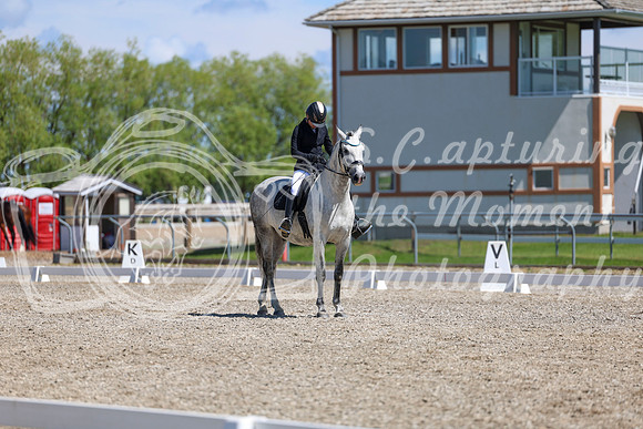 11179 - 2026 Dressage Festival - Sunday July 5th