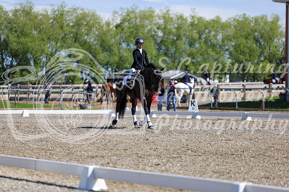 07884 - 2026 Dressage Festival - Sunday July 5th