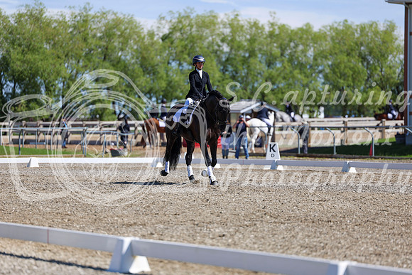 07885 - 2026 Dressage Festival - Sunday July 5th