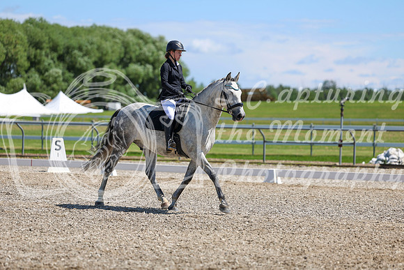 11193 - 2026 Dressage Festival - Sunday July 5th