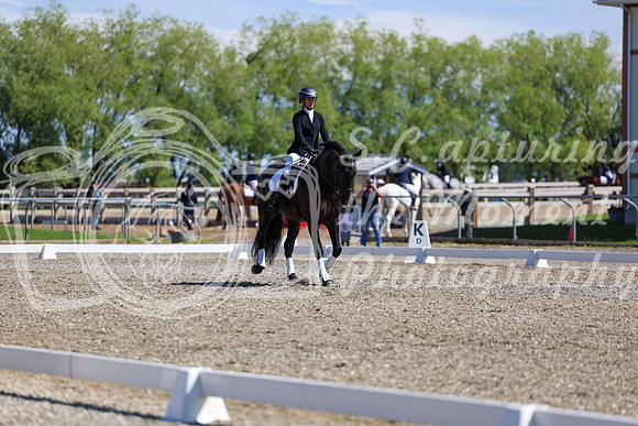07886 - 2026 Dressage Festival - Sunday July 5th