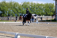 07887 - 2026 Dressage Festival - Sunday July 5th