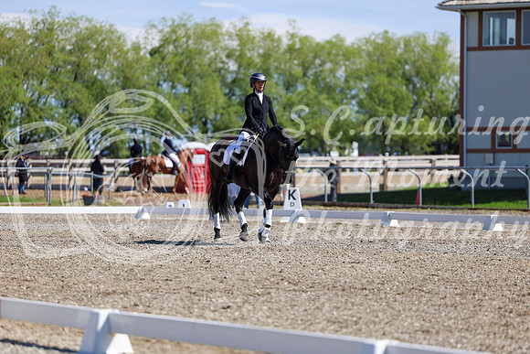 07889 - 2026 Dressage Festival - Sunday July 5th