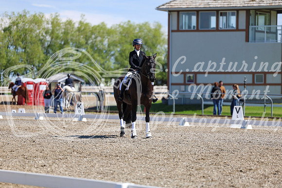 07901 - 2026 Dressage Festival - Sunday July 5th