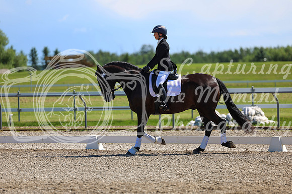 07918 - 2026 Dressage Festival - Sunday July 5th