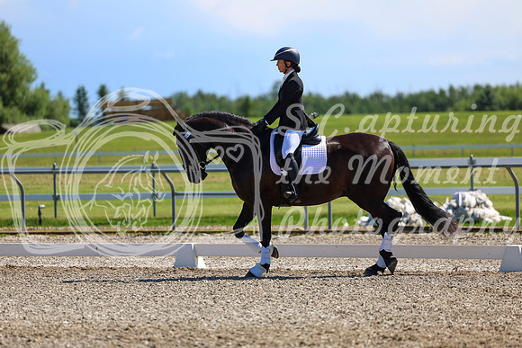 07920 - 2026 Dressage Festival - Sunday July 5th