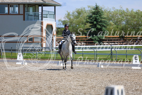 11233 - 2026 Dressage Festival - Sunday July 5th