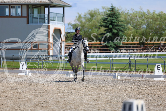 11234 - 2026 Dressage Festival - Sunday July 5th
