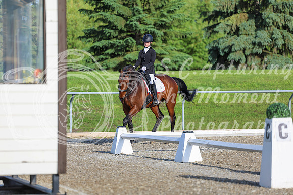 00006 - 2026 Dressage Festival - Sunday July 5th