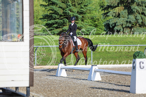00007 - 2026 Dressage Festival - Sunday July 5th