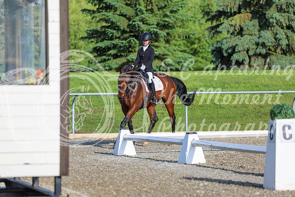 00008 - 2026 Dressage Festival - Sunday July 5th