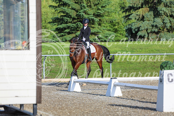 00009 - 2026 Dressage Festival - Sunday July 5th