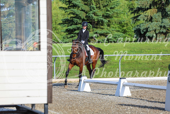 00011 - 2026 Dressage Festival - Sunday July 5th