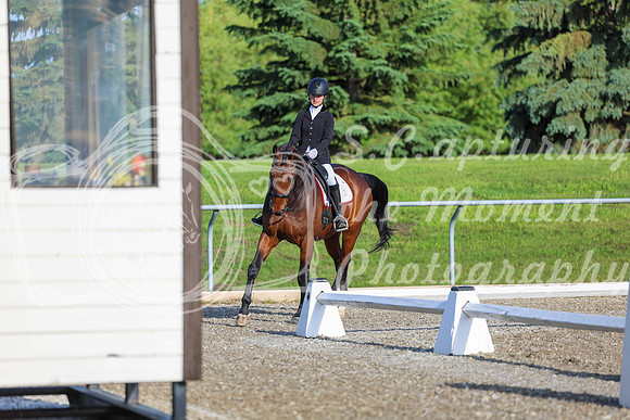 00012 - 2026 Dressage Festival - Sunday July 5th
