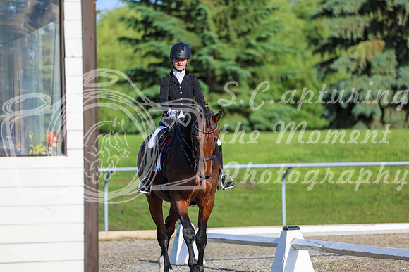 00015 - 2026 Dressage Festival - Sunday July 5th