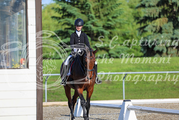 00016 - 2026 Dressage Festival - Sunday July 5th