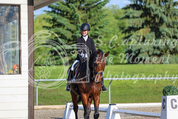 00024 - 2026 Dressage Festival - Sunday July 5th