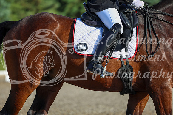 00026 - 2026 Dressage Festival - Sunday July 5th