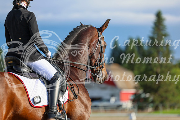 00030 - 2026 Dressage Festival - Sunday July 5th