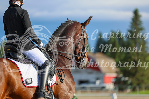 00029 - 2026 Dressage Festival - Sunday July 5th