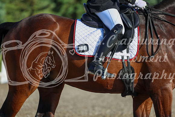 00027 - 2026 Dressage Festival - Sunday July 5th