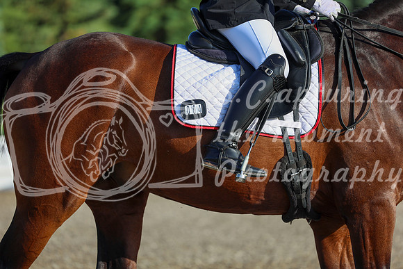00028 - 2026 Dressage Festival - Sunday July 5th