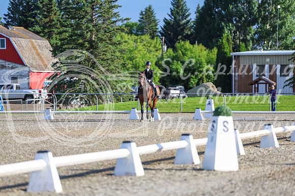 00032 - 2026 Dressage Festival - Sunday July 5th