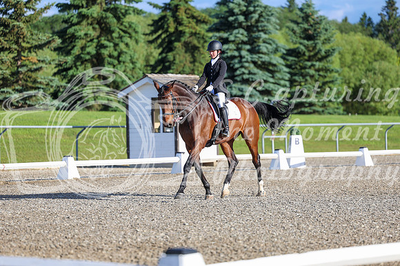 00060 - 2026 Dressage Festival - Sunday July 5th